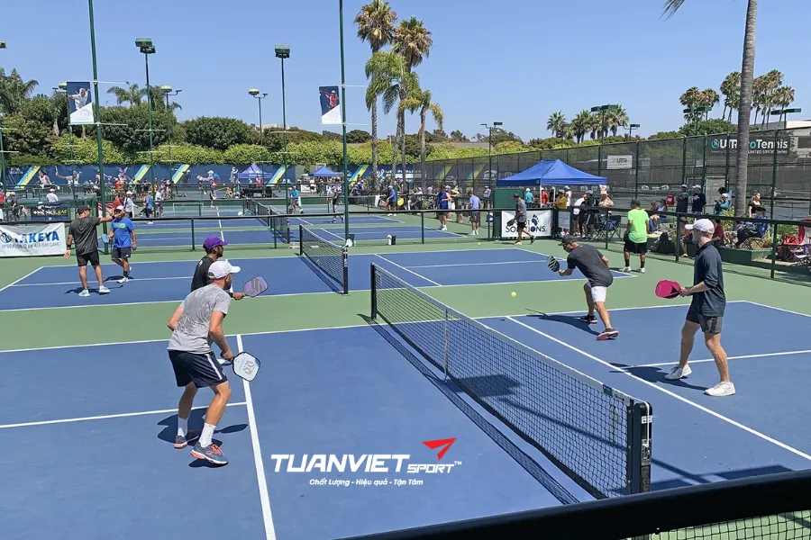 Pickleball Set cho 2 người và 4 người - Chọn sao cho đúng