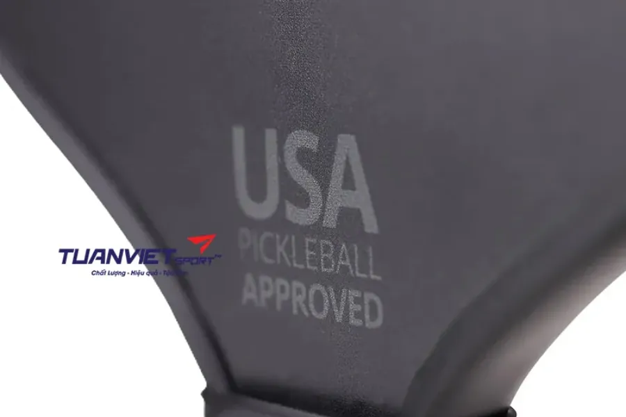 Pickleball Set là gì Hướng dẫn chọn Pickleball Set phù hợp cho người mới và người chơi nâng cao