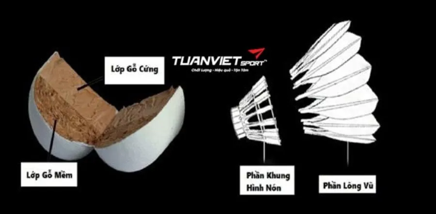 Top những quả cầu lông để chơi tốt trên thị trường