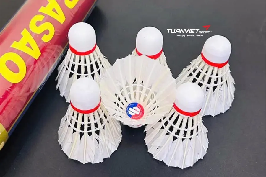 Top những quả cầu lông để chơi tốt trên thị trường