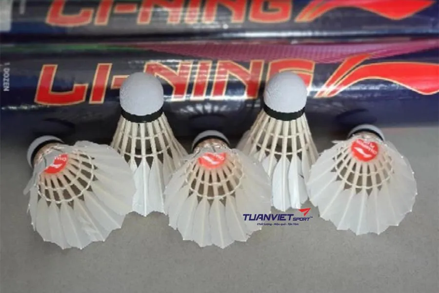Top những quả cầu lông để chơi tốt trên thị trường