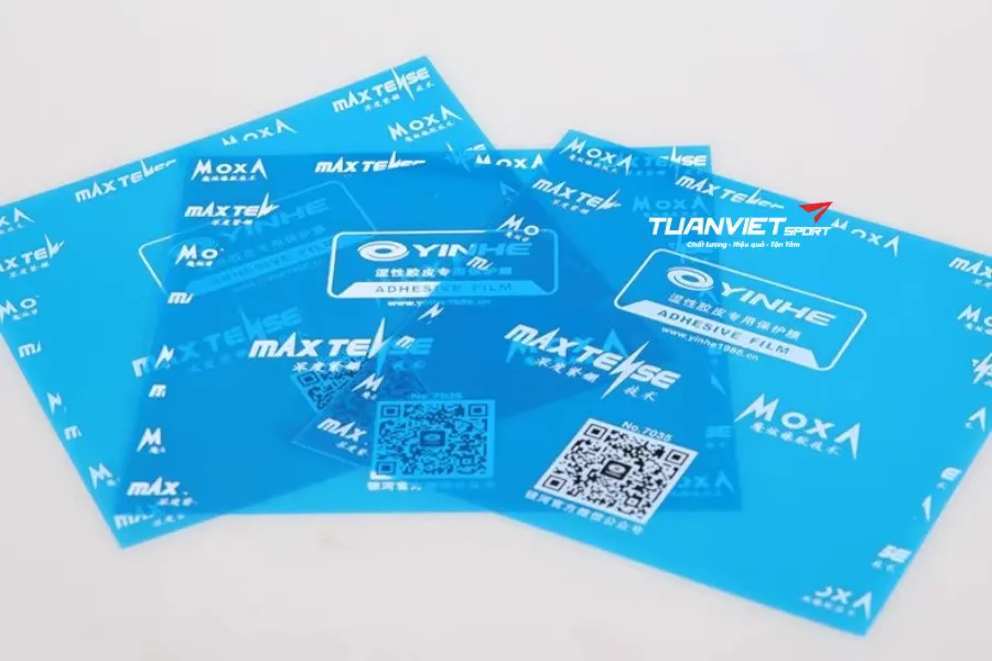 Top phụ kiện bảo quản vợt bóng bàn giúp bền đẹp, kéo dài tuổi thọ - Miếng dán bảo vệ mặt cao su
