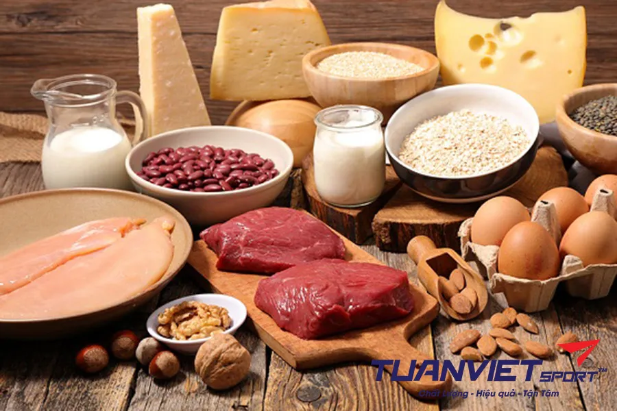 Vai trò của protein trong luyện tập thể thao phong trào