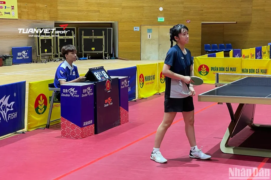 Vai trò và quyền hạn của trọng tài trong bóng bàn theo luật bóng bàn mới nhất