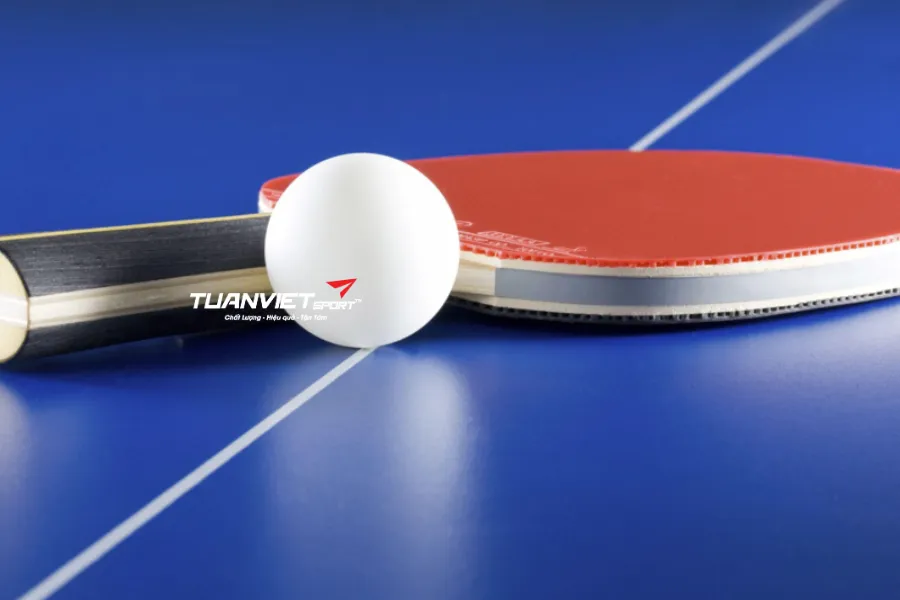 Vợt bóng bàn thi đấu cần bảo quản khác gì vợt tập luyện Khác biệt quan trọng người chơi cần biết
