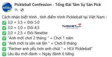 Đã đến lúc Pickleball Việt Nam cần hệ thống xếp hạng nghiêm túc!