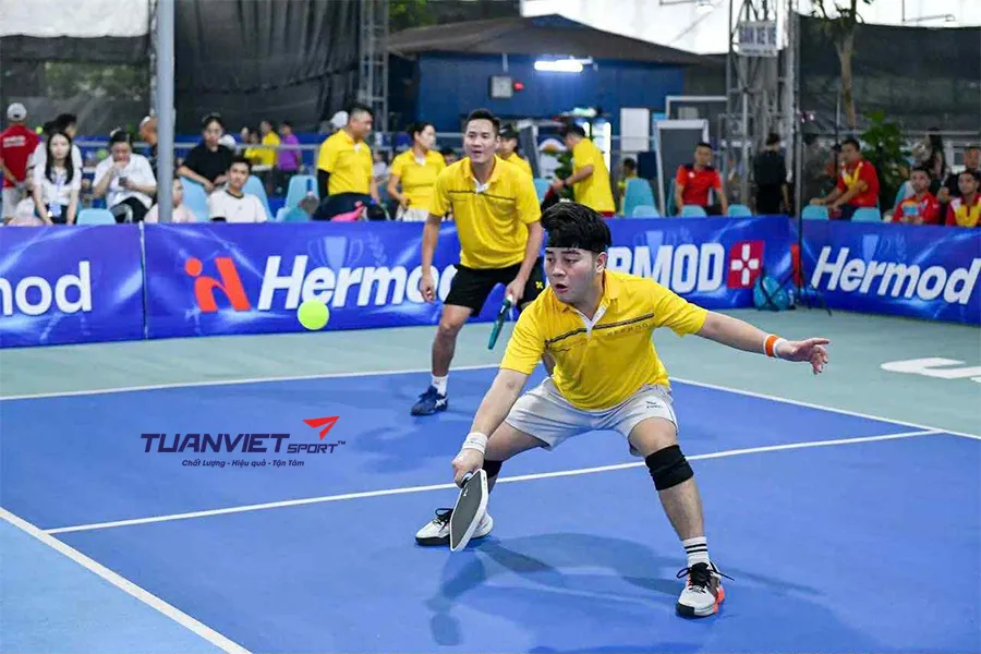 Giải Pickleball CEO 2025 tranh Cúp Hermod nơi các CEO và Founder tỏa sáng trên sân