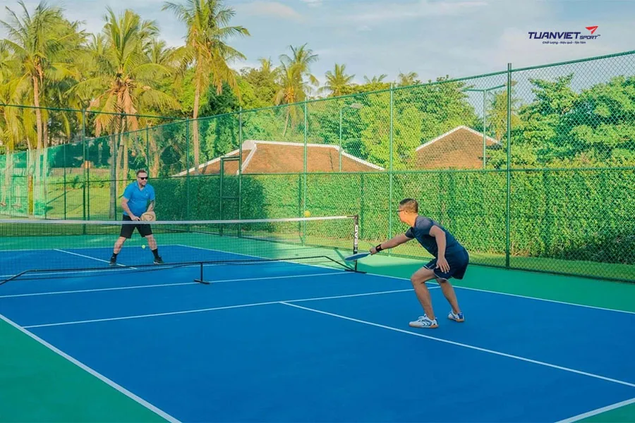 Giới nhà giàu Mỹ đổ xô xây sân pickleball trong vườn nhà