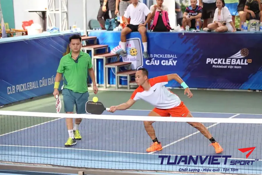 Tổng Hợp Các Giải Pickleball Chính Thức Trong Và Ngoài Nước Không Thể Bỏ Qua