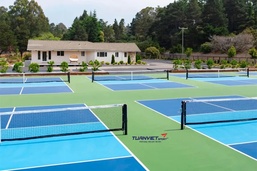 Trải nghiệm pickleball giữa thiên nhiên hoang sơ tại Mendocino Cove Resort California